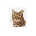 Alisa Beldizart Ananasas S0-165 Alisa Beldizart Ananasas S0-165