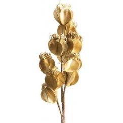 Eurofirany KW/FLORE/754/OLI OLIW