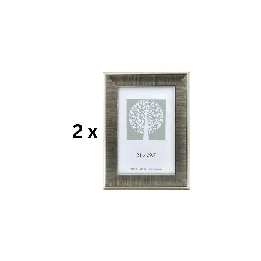 Savex Fotoraam, plastiline, A4, 21x29,7 cm, hõbedane. – 2