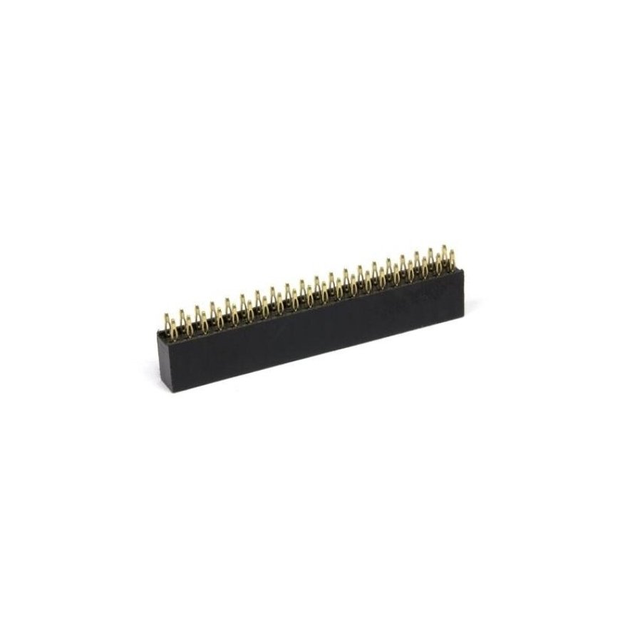 OEM Goldpin socket strip 2x20 pins 2.54mm - designed for Raspberry Pi
