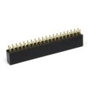 Oem Goldpin karpomų lizdų juosta 2x20 pin 2.54mm - mõeldud Raspberry Pi jaoks