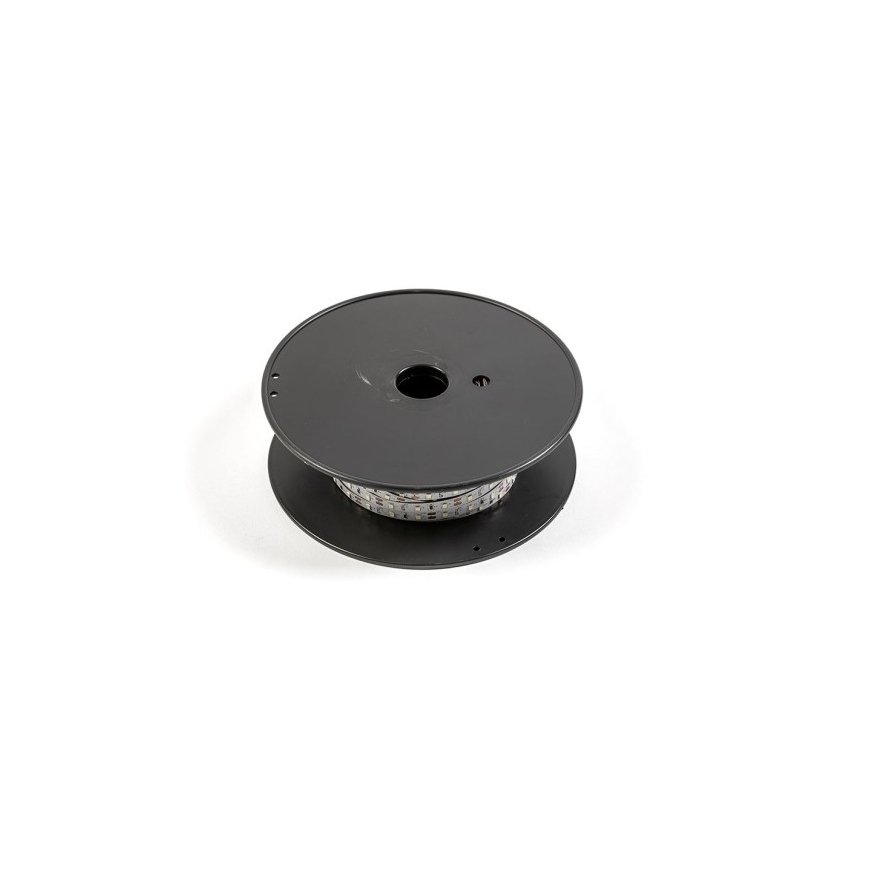 Oem LED joska FLASH 2835 12V 6500K aukstajā baltā 1m – 2