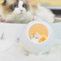 Tellur Cat Naktinis Šviesos Šviestuvas