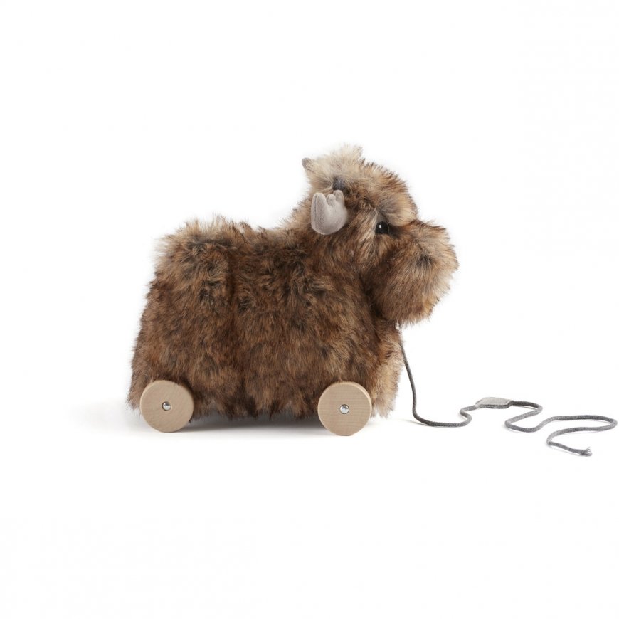 Kid’s Concept 1000409 push & pull toy – 2