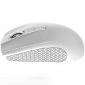 Canyon MW-7 mouse Right-hand RF Wireless Optical 1600 DPI Canyon MW-7 mouse Right-hand RF Wireless Optical 1600 DPI