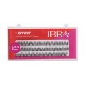 Ibra Brushes B Ibra Brushes B