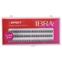 Ibra Brushes B Ibra Brushes B