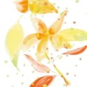 Sisley L'Eaux Rêvées D'Isa 50 ml Abiem dzimumiem Sisley L'Eaux Rêvées D'Isa 50 ml Abiem dzimumiem