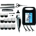 Wahl Homepro Melns, Sudrabs 10
