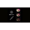 Manta MASNL129WH Style Neon Lights Cat With A Bow LED Neon Mirror Manta MASNL129WH Style Neon Lights Cat With A Bow LED Neon Mirror