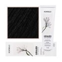 Montibello Denuee hiusväri 60 ml - 10,32 | Helmi Kulta Vaalein Montibello Denuee hiusväri 60 ml - 10,32 | Helmi Kulta Vaalein