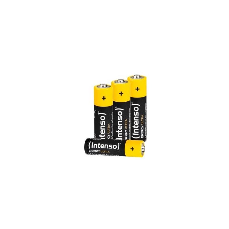 Intenso 7501424 buitinė baterija Vienkartinė baterija AA Šarminis