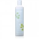 Echosline Balance Puhdistava Shampoo syväpuhdistava shampoo hilseelle, 300 ml