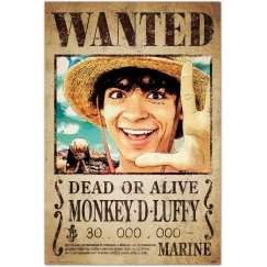 Постер ERIK One Piece