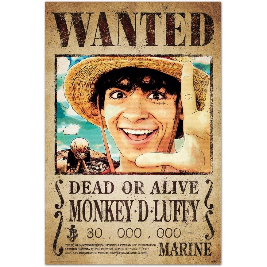 ERIK One Piece plakat