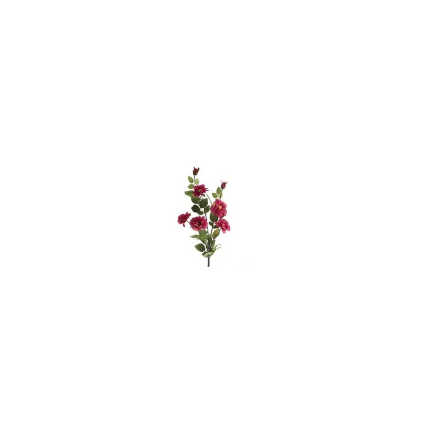 Eurofirany KW/NATU/428/AMA LOVE