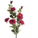 Eurofirany KW/NATU/428/AMA LOVE Eurofirany KW/NATU/428/AMA LOVE