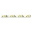 OEM LED strip SMD3528 IP65 9.6W, 120 LEDs/m, 8mm, cool white - 5m OEM LED strip SMD3528 IP65 9.6W, 120 LEDs/m, 8mm, cool white - 5m