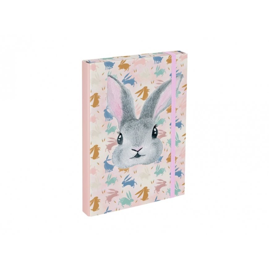 BAAGL A4 Knygų dangteliai Bunny – 2