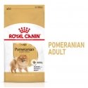 Royal Canin Pomeranian Adult 1,5 kg Aikuinen Royal Canin Pomeranian Adult 1,5 kg Aikuinen