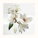 Hermes Un Jardin sur la Lagune 50 ml Mõlemale soole sobiv Hermes Un Jardin sur la Lagune 50 ml Mõlemale soole sobiv
