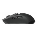 Logitech G 910-007199 pele Speļu Labā roka RF bezvadu sakari + Bluetooth Optisks 2560 DPI Logitech G 910-007199 pele Speļu Labā roka RF bezvadu sakari + Bluetooth Optisks 2560 DPI
