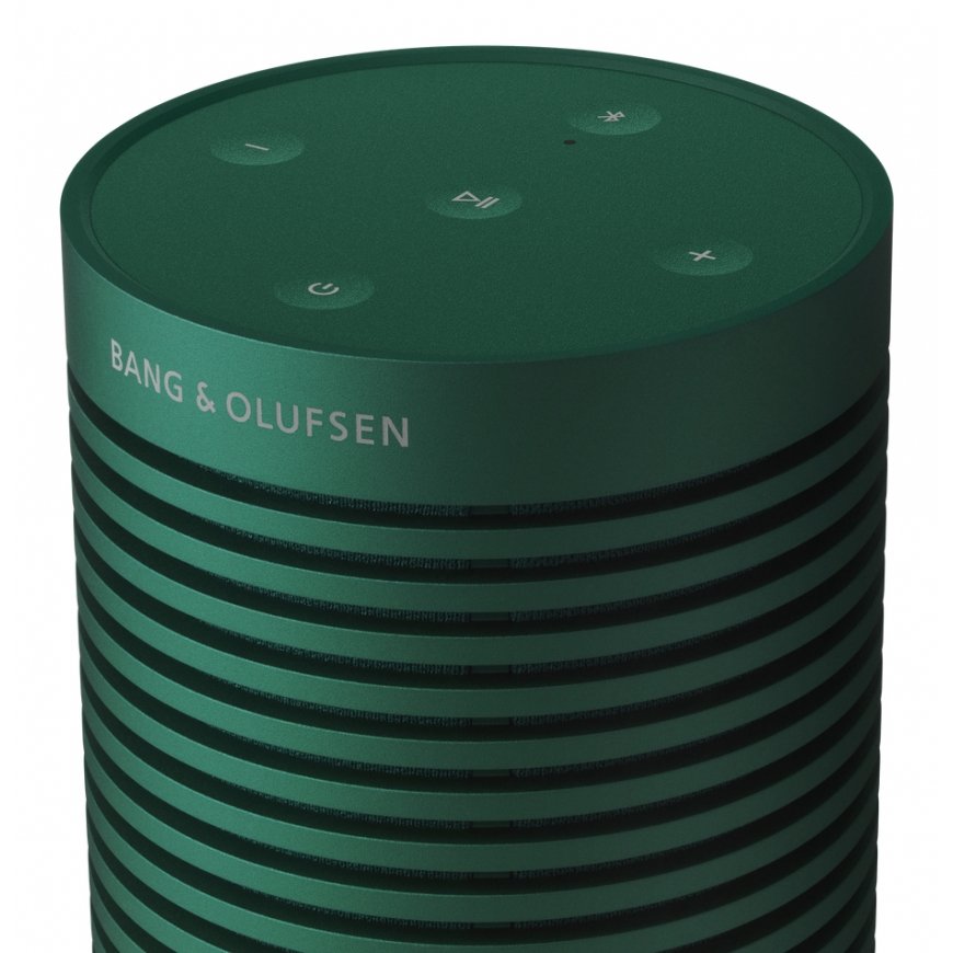 Bang & Olufsen BeoSound Explore Zaļš 60 W – 5