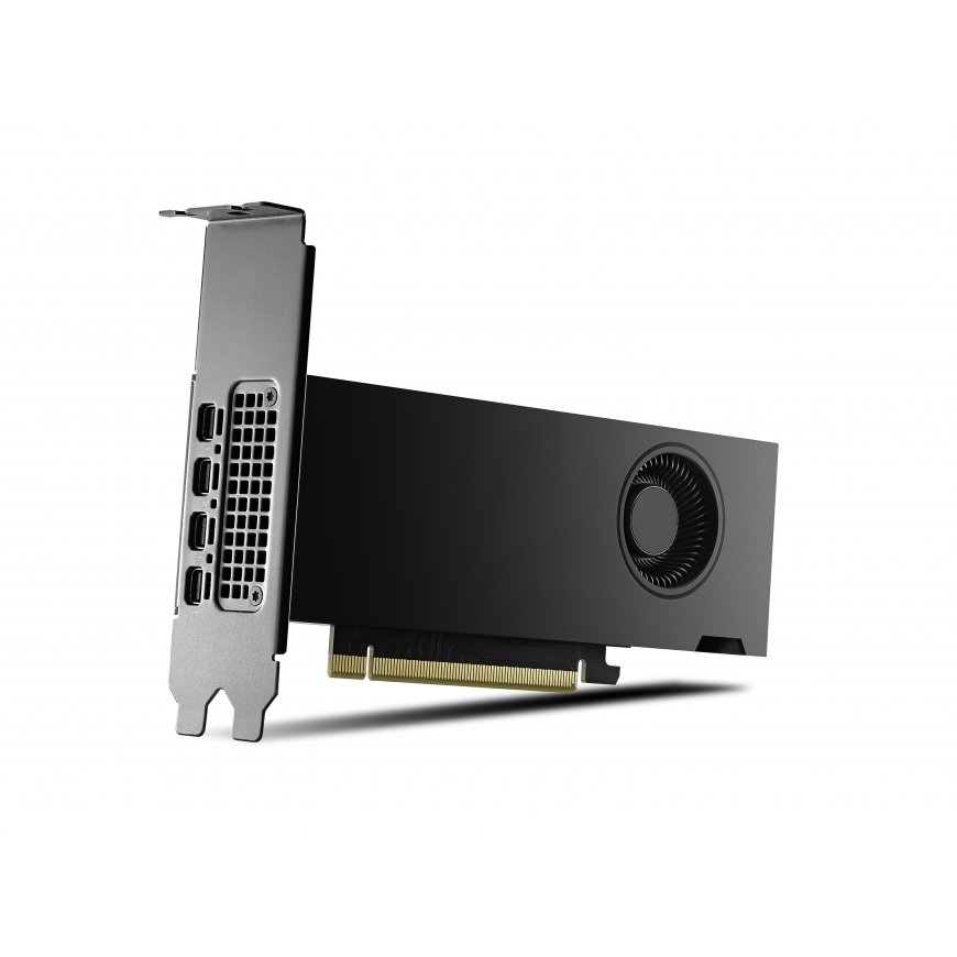 PNY RTX2000 Ada NVIDIA RTX 2000