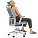 Biuro kėdė su 4D porankiais Spacetronik SPRINGO-01 Biuro kėdė su 4D porankiais Spacetronik SPRINGO-01