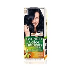 GARNIER Color Naturals - Maali Nr.1.10 - Pohjoinen safiiri 1 kpl.