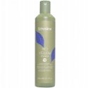 Echosline No Yellow Shampoo for Light, Bleached, and Gray Hair, 300 ml Echosline No Yellow Shampoo for Light, Bleached, and Gray Hair, 300 ml