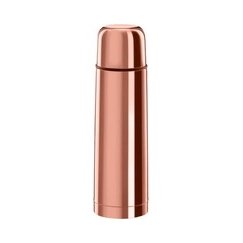 Dajar Termoss Magnum Ambition 0.35L nerūsējošā tērauda
