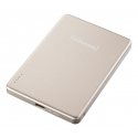 Intenso MW5000 Litium polymeeri (LiPo) 5000 mAh Langaton lataaminen Shampanja