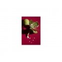 AHAVA ACTIVATING SMOOTHING ESSENCE Kasvoöljy Naisten AHAVA ACTIVATING SMOOTHING ESSENCE Kasvoöljy Naisten