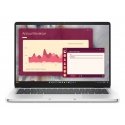 DELL Pro 14 PC14250