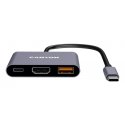 Canyon DS-4 USB Type-C 10000 Mbit/s Grey