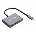 Canyon DS-4 USB Type-C 10000 Мбит/с Серый Canyon DS-4 USB Type-C 10000 Мбит/с Серый