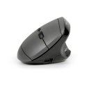 BakkerElkhuizen MidWay kompiuterio pelė Biuras Dešinės rankos RF Wireless + Bluetooth + USB Type-C O