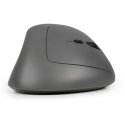 BakkerElkhuizen MidWay компьютерная мышь Офисная Для правой руки RF Wireless + Bluetooth + USB Type-