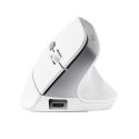 Trust Bayo II mouse Office Right-hand RF Wireless Optical 2400 DPI Trust Bayo II mouse Office Right-hand RF Wireless Optical 2400 DPI