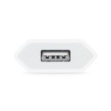 Apple MGN13ZM/A адаптер питания / инвертор Для помещений 5 W Белый Apple MGN13ZM/A адаптер питания / инвертор Для помещений 5 W Белый