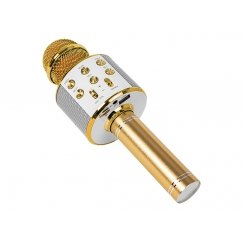 PRM402 BLOW золотой караоке-микрофон