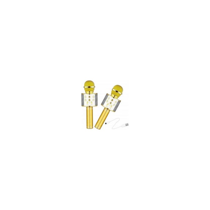 T&G Wireless Karaoke Microphone WS-858 Gold – 2