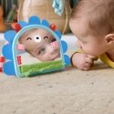 Fisher-Price JHB45 õppemänguasi Fisher-Price JHB45 õppemänguasi