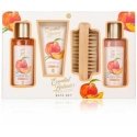 Accentra Bathroom Set ESSENTIAL BOTANICS – FRUITS in Gift Box Accentra Bathroom Set ESSENTIAL BOTANICS – FRUITS in Gift Box