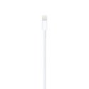 Apple Lightning to USB Cable (1m) Apple Lightning to USB Cable (1m)