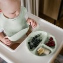 Colorovo BabyOno Silicone Non-Slip Plate Green 1482/03