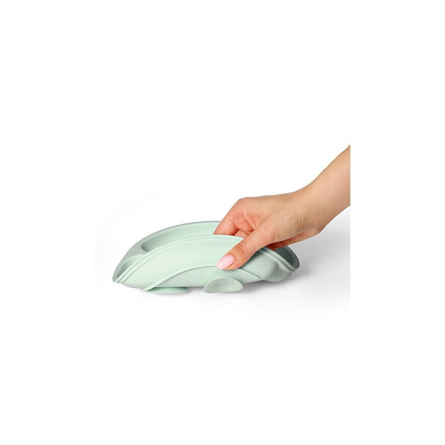 Colorovo BabyOno силиконовая тарелка, нескользящая, зеленая 1482/03 – 2