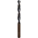 metalliline puuri HSS Sprint MASTER 11,0 mm ALPEN [0062601100100]
