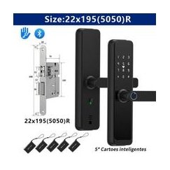 LNDU electronic smart door lock